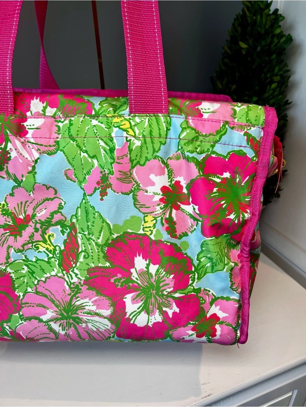 Lilly Pulitzer Insulated Cooler in the 